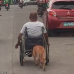 フィリピン版忠犬ハチ公！車椅子を押す犬と飼い主の姿の動画に感動！2人の現在は？