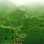 緑に飲み込まれた村後頭湾(中国村枸杞島)の廃村の理由は？無人村の画像や行き方や料金・ツアーは？